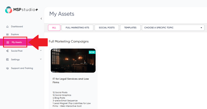 Asset page with asset-1